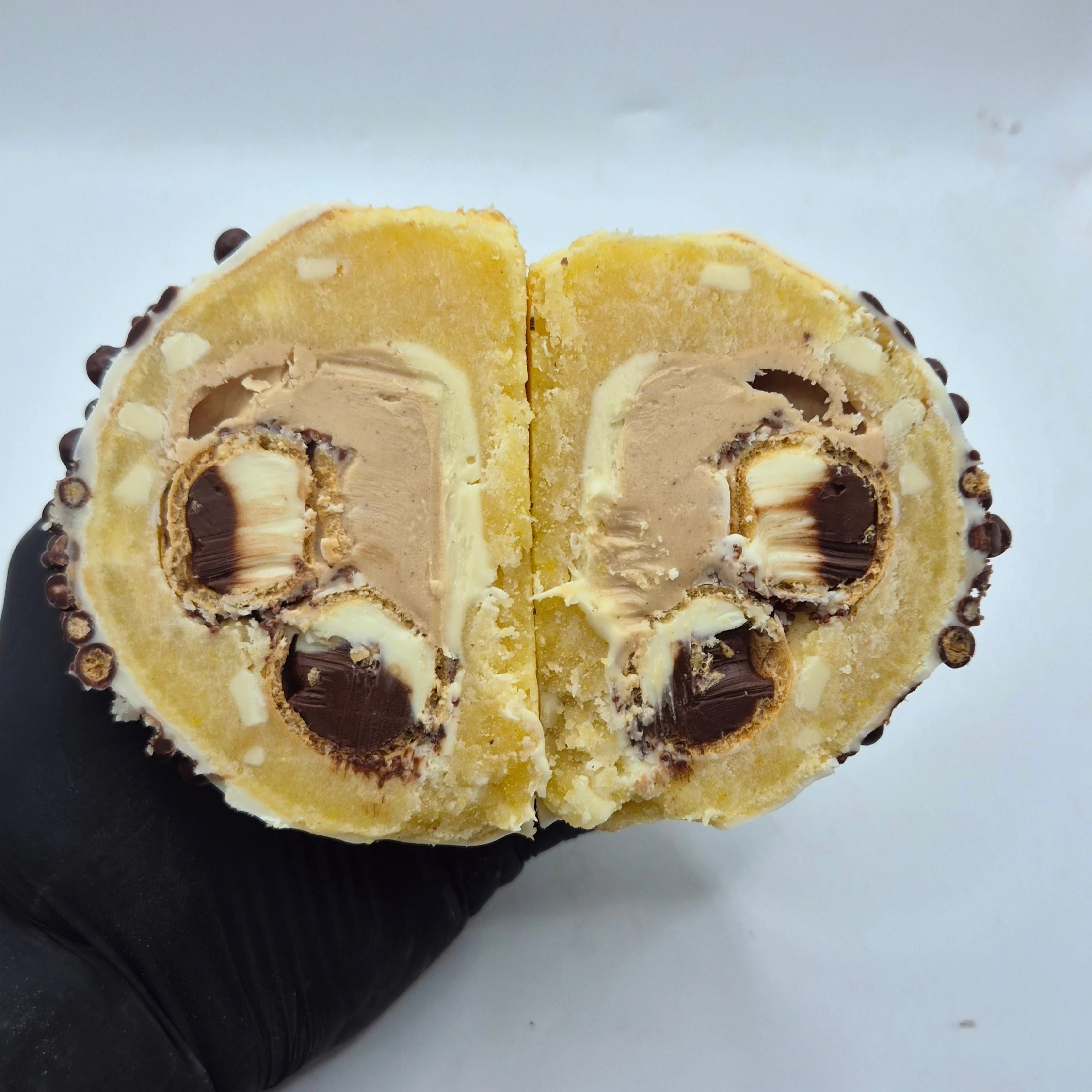 Hippo Licious